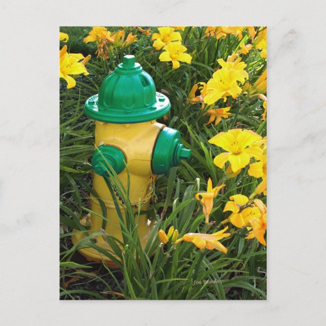 Jaune et gree postcard (Front)