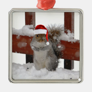 Jaunty Squirrel with Santa Hat Holiday Ornament