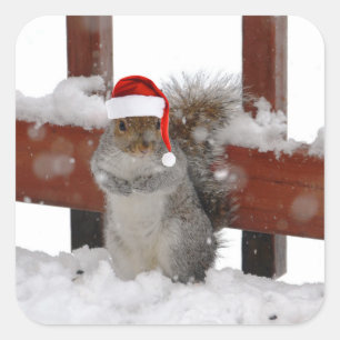 Jaunty Squirrel with Santa Hat Holiday Sticker
