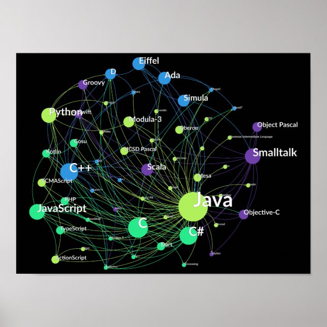 Java Programming Language Influence Network Graph Poster (Front)