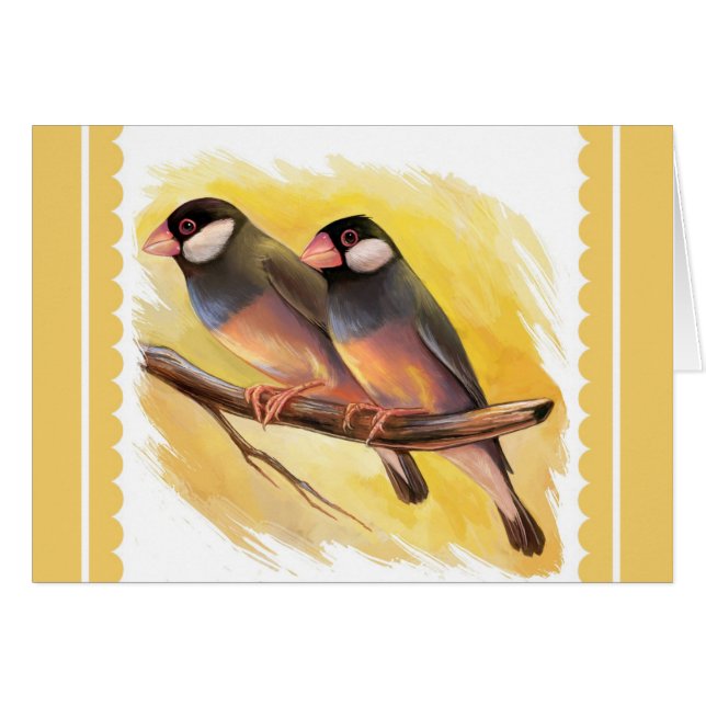 Java Sparrow finches realistic painting (Front Horizontal)