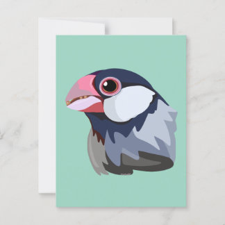 Java Sparrow—simplified  Postcard