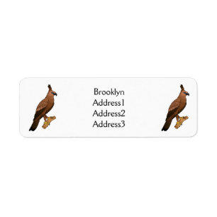 Javan hawk eagle bird cartoon illustration