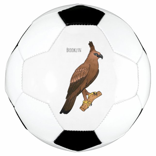 Javan hawk eagle bird cartoon illustration  football (Front)