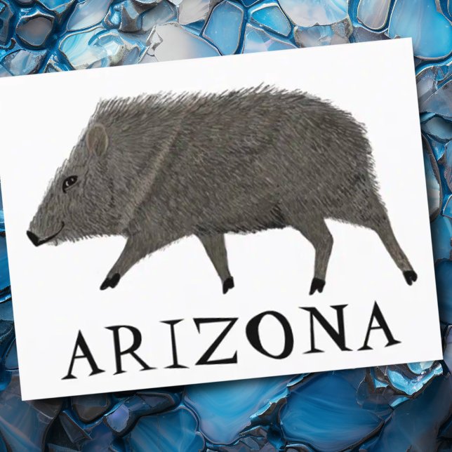 Javelina ARIZONA Desert Wild Animal Peccary Nature Postcard (Cute javelina artwork Arizona custom postcard)