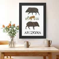Javelina Family Portrait Desert Animals ARIZONA