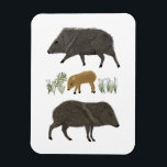 Javelina Family Portrait Desert Animals Magnet<br><div class="desc">Decorate your space with this cute drawing of javelinas. Makes a great gift! You can customise it and add text too. Check my shop for lots more matching items and other designs!</div>