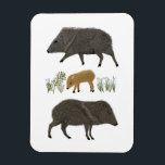 Javelina Family Portrait Desert Animals Magnet<br><div class="desc">Decorate your space with this cute drawing of javelinas. Makes a great gift! You can customise it and add text too. Check my shop for lots more matching items and other designs!</div>