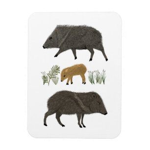 Javelina Family Portrait Desert Animals Magnet