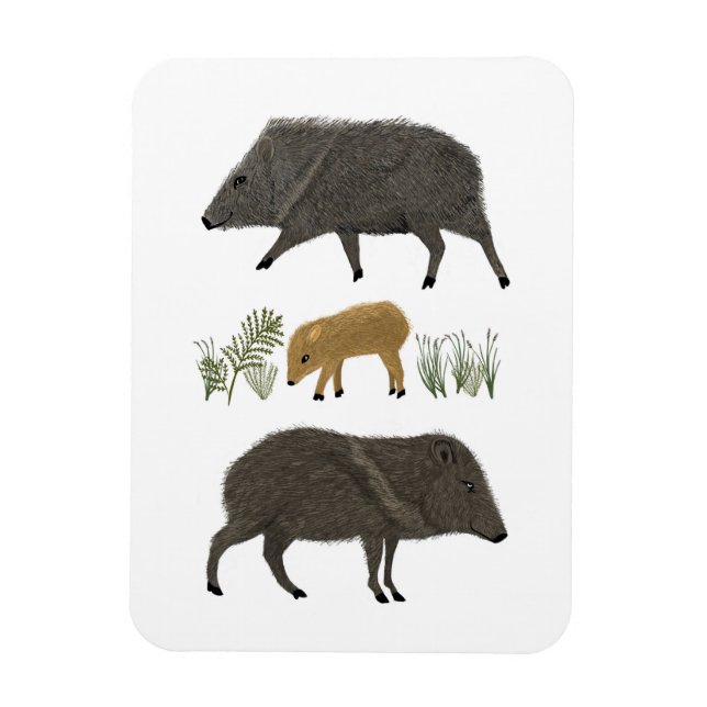 Javelina Family Portrait Desert Animals Magnet (Vertical)