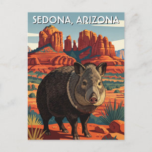 Javelina in Sedona Arizona Travel Vertical Postcard