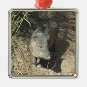Javelina Metal Tree Decoration