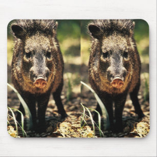Javelina Mouse Mat