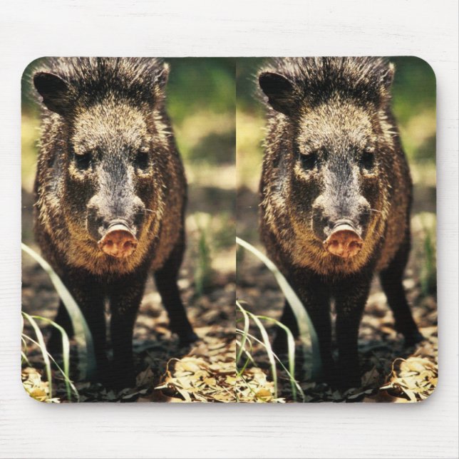 Javelina Mouse Mat (Front)