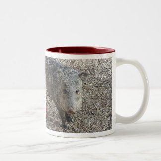 Javelina mug