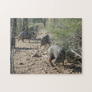Javelina Puzzle