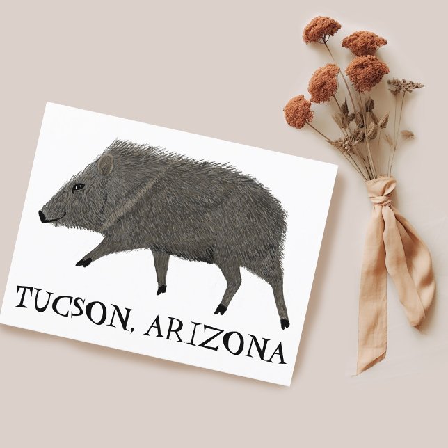 Javelina TUCSON Desert Wild Animal Peccary Nature Postcard (Javelina TUCSON Desert Wild Animal Peccary Nature Postcard Customize it)