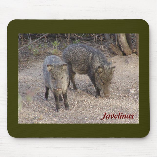 Javelinas mousepad (Front)