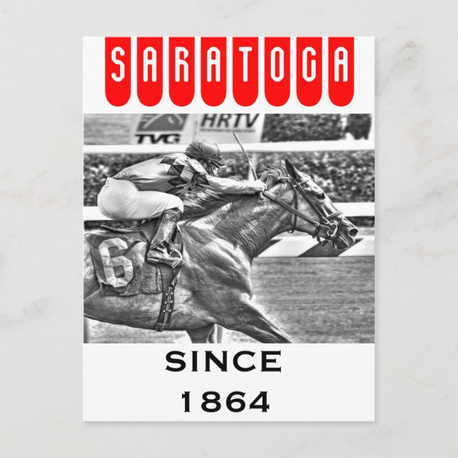 Javier- Saratoga Race Course Postcard (Front)