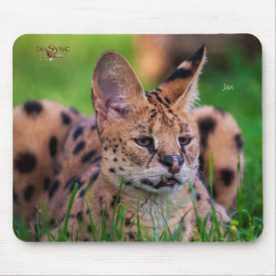 Jax Mouse Mat
