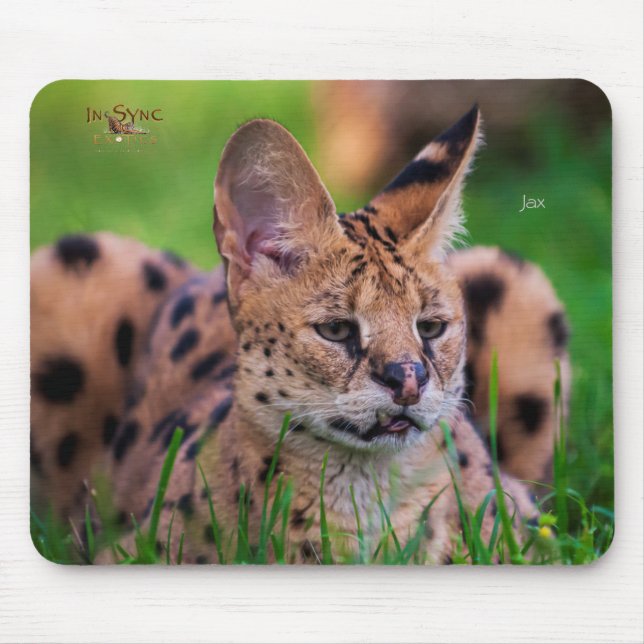 Jax Mouse Mat (Front)