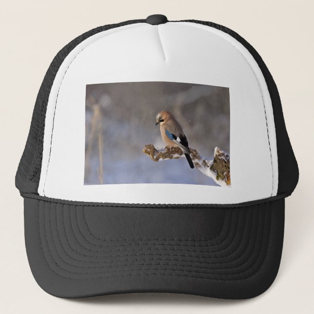 Jay Bird in Winter Trucker Hat (Front)