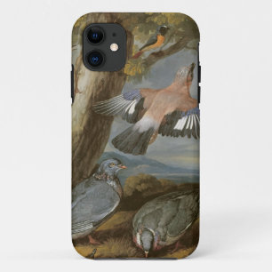 Jay, Green Woodpecker, Pigeons and Redstart, c.165 iPhone 11 Case