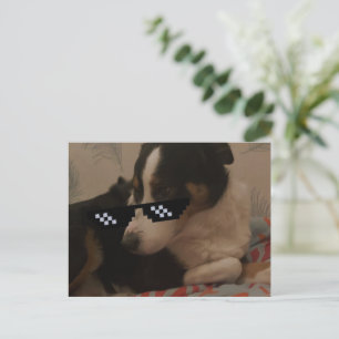 Jay Postcard