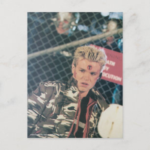 Jay The Tribe Postcard