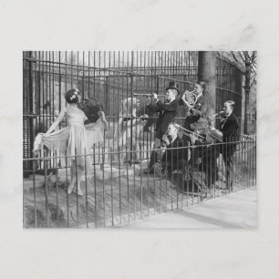 Jazz Band Entertaining Polar Bears, 1925 Postcard