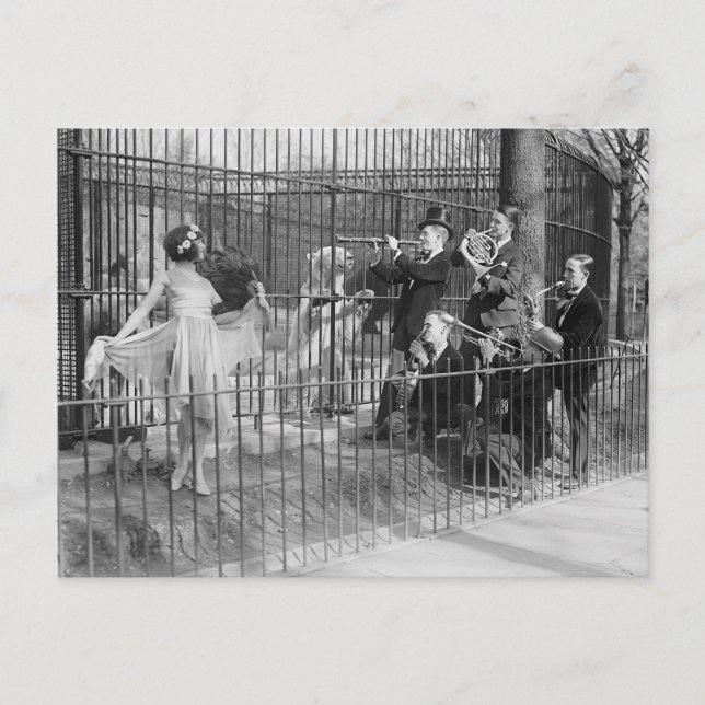Jazz Band Entertaining Polar Bears, 1925 Postcard (Front)