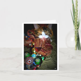 jazzy christmas holiday card