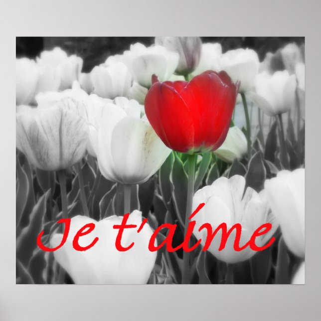 Je t'aime Red Tulip Print (Front)