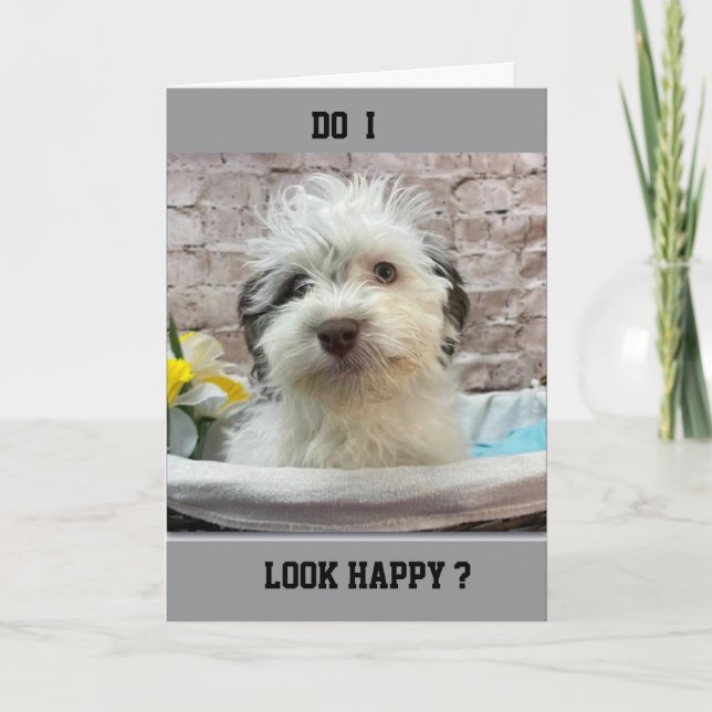 JEALOUS PUPPY WISHES U "HAPPY BIRTHDAY" CARD (Front)