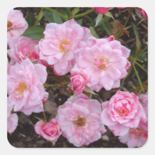 Jeanne LaJoie Rose #1-2 Stickers