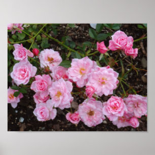 Jeanne LaJoie Rose #1 Poster