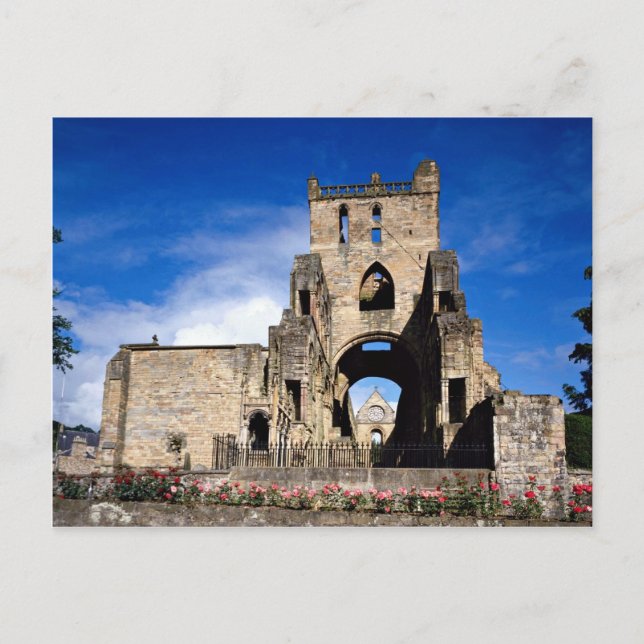 Jedburgh Abbey, Scotland Postcard (Front)