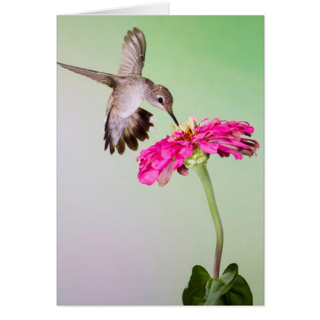 Jeff Davis County, Texas (Front)