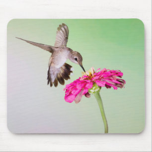 Jeff Davis County, Texas Mouse Mat