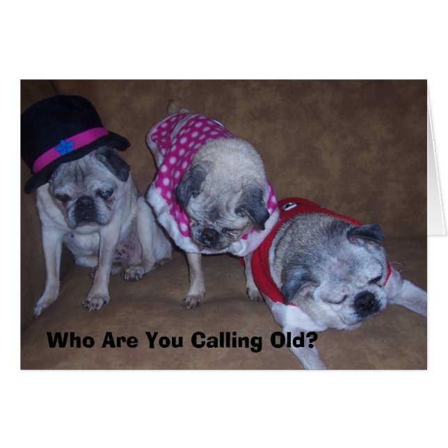 Jeff, Gina, Grandpa, Who Are You Call... (Front Horizontal)