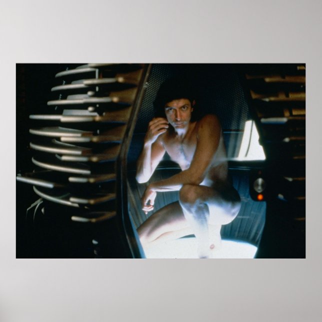 Jeff Goldblum The Fly Poster (Front)