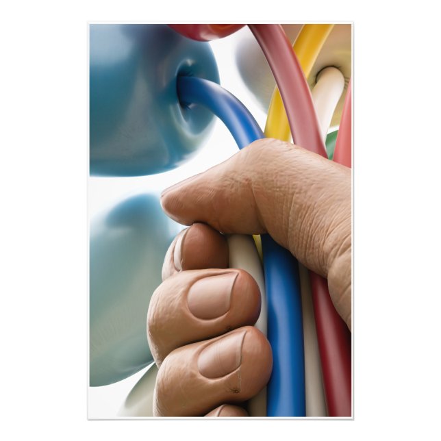 Jeff Koons Sculpture "Bouquet of Tulips" in Paris Photo Print (Front)