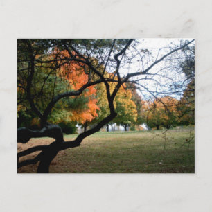 Jefferson Barracks Postcard