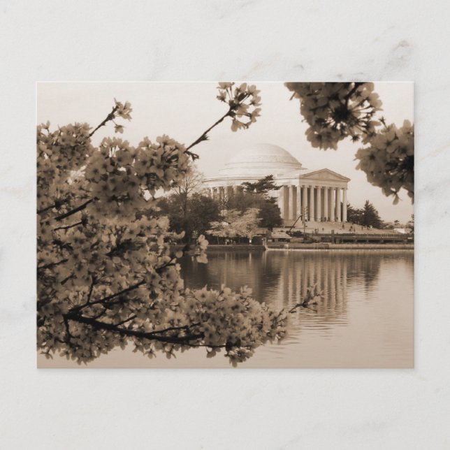 Jefferson Memorial Postcard (Front)
