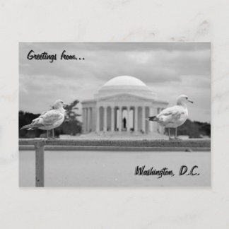 Jefferson Memorial / Tidal Basin Postcard