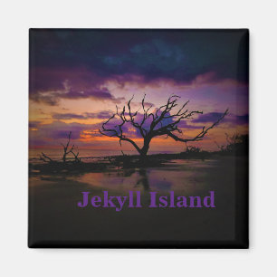 Jekyll island magnet