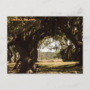 Jekyll Island Pathway to the Marsh Postcard