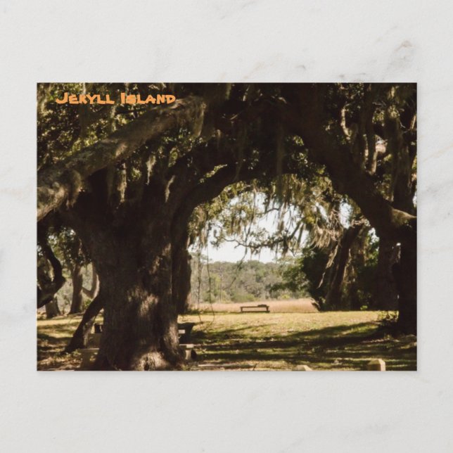 Jekyll Island Pathway to the Marsh Postcard (Front)