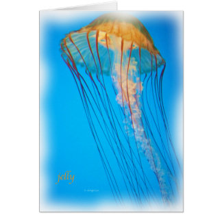 jelly_2643_Paint