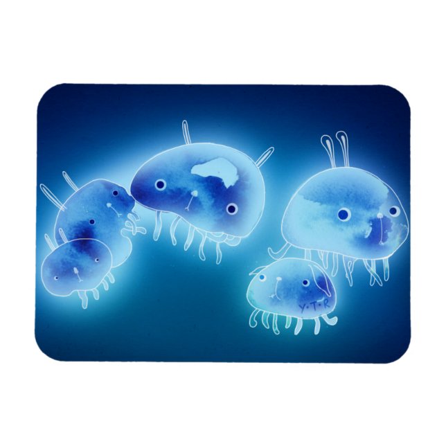 Jelly fish 2013 magnet (Horizontal)